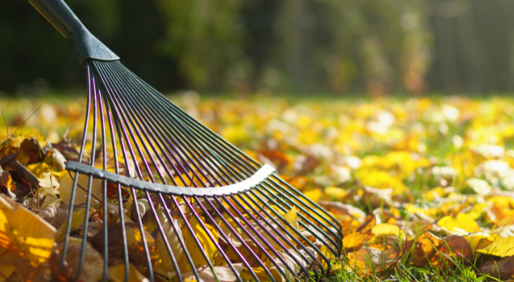 Raking the Fallen Leaves